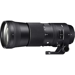 Sigma 150-600mm 5-6.3 Contemporary DG OS HSM Lens for Nikon