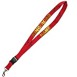 road king special 2019 Absolutes Must-have für ScaniaFans