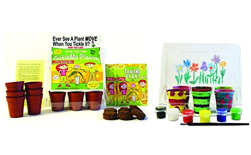 TickleMe Plant Deluxe Greenhouse Kit with 6 Color Paint Set for Kids with 10 Fun Activities. Grow The House Plant That Closes its Leaves