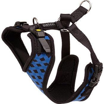 petco harness