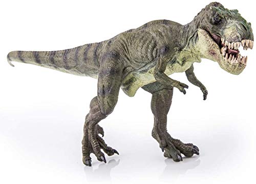 Idocce Dinosaur Toy, Walking Dinosaur, Plastic Dinosaur Toy, Realistic Jurassic World Dinosaur Tyrannosaurus Rex Model Toy for Kids