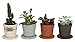 4 Macetas y 4 Platos Fabricados en Cerámica para Cactus y Suculentas. Cerámica Artística. Hechos a Mano. Decoración Exterior e Interior