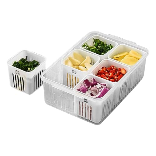 Image of 6 Grid Fridge Storage Box with Lid | 250 ML Each Compartment | Plastic Freezer Safe Vegetable & Food Storage Container | Refrigerator Organizer Tray for Veggies, Snacks & Leftovers