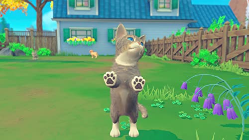 My Universe: Pets Edition - Image 3