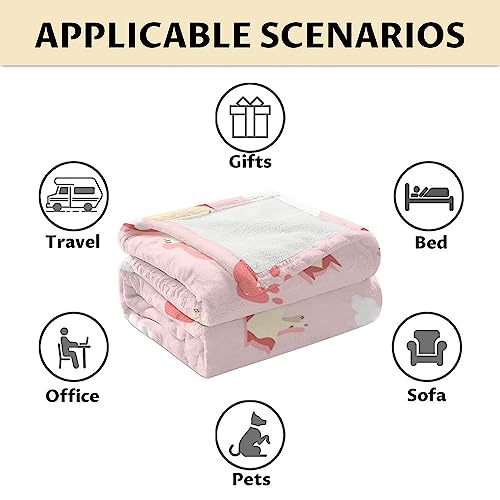 Cat Blanket Gifts - 30"x40" Cute Throw for Kids & Adults - Pink Soft Fuzzy Blankets for Couch & Office