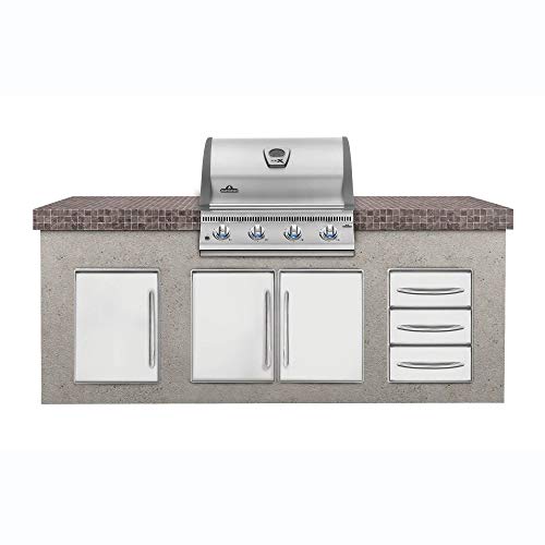 Napoleon LEX 485 BuiltIn Natural Gas Grill Review Best Grill Reviews