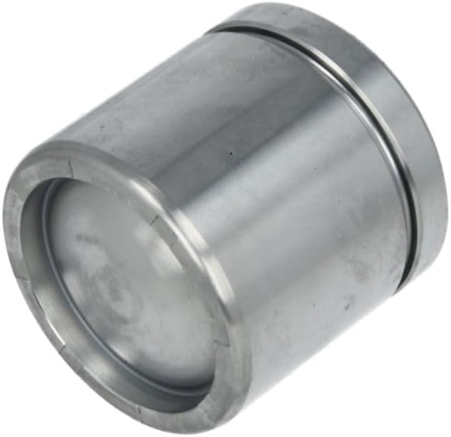 Autofren Seinsa D025107 Piston, brake caliper
