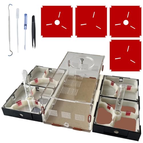 Ants Footsteps Ant Farm Nest Science DIY Terrarium Kit Care for Live Ants Ant Habitat with Water...