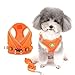 Zunea No Pull Dog Harness and Leash Set for Small Dogs Adjustable Reflective Puppy Vest Harnesses Soft Mesh Step-in Pet Cat Harness Escape Proof for Walking, Bright Colors for Dogs Girl Boy Orange S