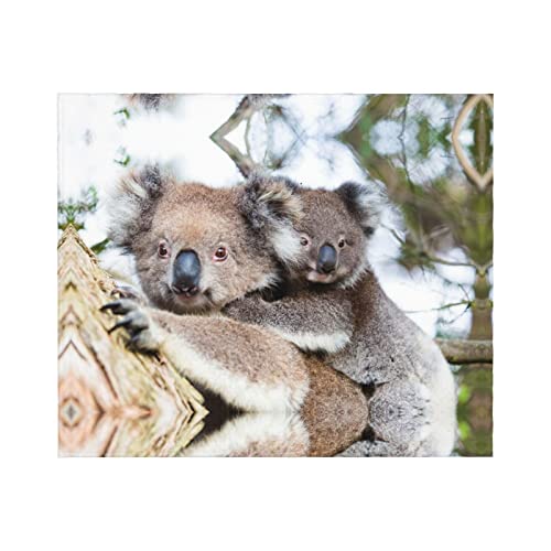 Couverture koala bear en flanelle douce, idée cadeau originale