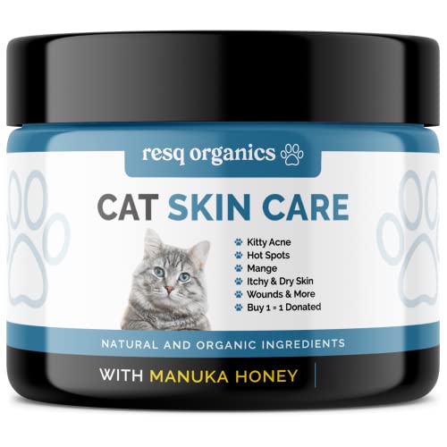 Cat Wound Care The 15 best products compared Wild Explained