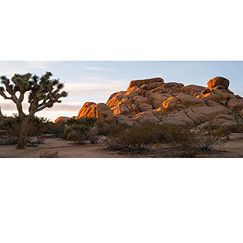 Fondo fotográfico 72x18 pulgadas para terrario cactus desierto