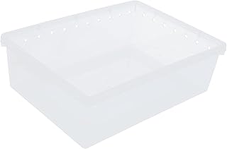 iplusmile Caixa De Alimentação Caixa Recipiente Transparente Caixa De Exibição Transparente Mini Recipientes De Plástico Recipiente De Alimentação De Répteis Réptil Terrário Habitat Caixa
