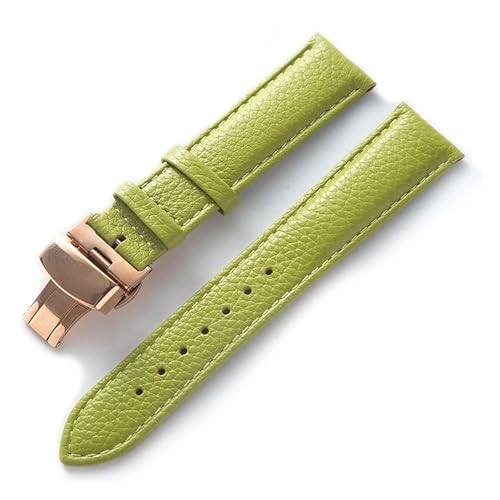 [] YingYou O[̃\tgvgpU[EHb`BjpANZT[BW/eB\̃Xgbvƌ݊B(Light green rose,18)