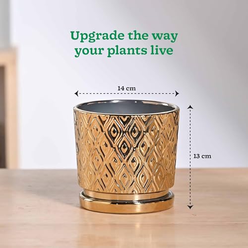 Image of UGAOO Peacock Ceramic Pot - 5 Inch | Indoor Ceramic Plant Pot | Flower Pot for Living Room | Small planters for Indoor Plants (Gold)