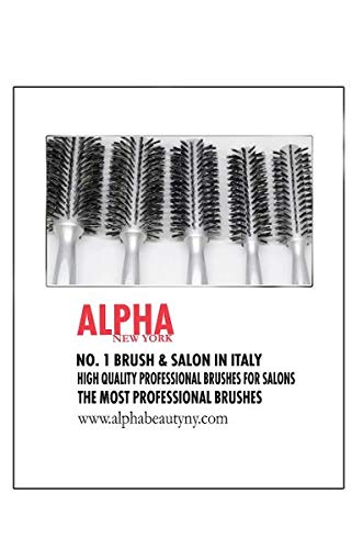 Professional Hair Brushes Neutral Boar Bristle European Wood (Silver)5Pc By Alpha new York