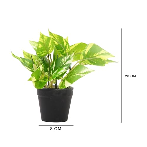 Image of Artificial Money Plant with Black Pot, Green Variegated Leaves, 20 cm Height, 8 cm Wide, Indoor Decorative Fake Plant