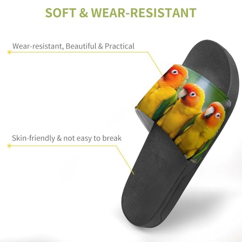 Colour of Conures House Sandals Non-Slip Bathroom Slippers Beach Summer Shoes for Men Women3