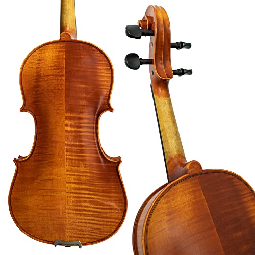 Professional Violin Beginner Full Size