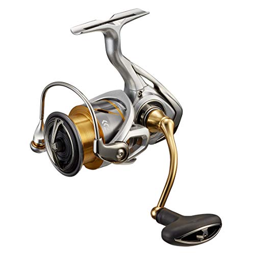 ダイワ(DAIWA) 21 フリームス LT3000-XH