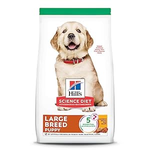 Hill’s Science Diet Dry Dog Food, Puppy, Large Breeds, With Real Meat And Whole Grains, Chicken Meal And Oats Recipe, 7.03 kg (Pack of 1)
