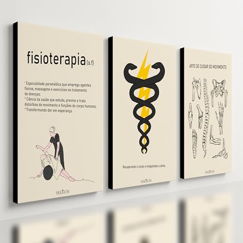 Kit 3 Quadro Decorativo Fisioterapia Consult&oacute;rio Cl&iacute;nica Mdf (40x28cm)