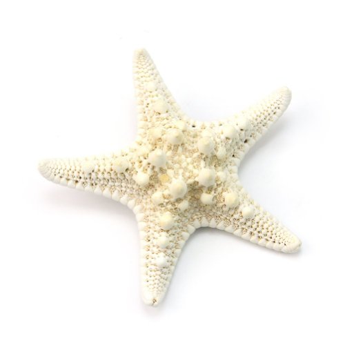 Rbenxia 2.7" Starfish Sea Lover Hairpin Star Hair Clip 1pcs Beige