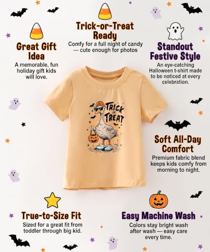 Image of Boys Short Sleeve Funny Graphic Tees for Toddler to Big Kid