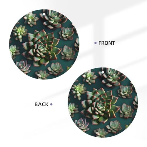 Hojas aromáticas para auto Many succulents miniatura 3