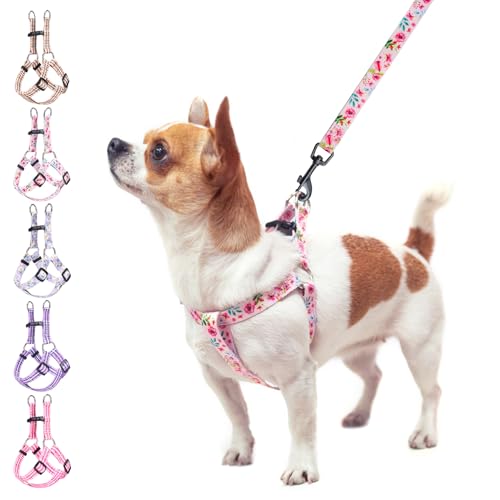 BEAUTYZOO No Pull Dog Harness and Leash Set - ���߉\ �X�e�b�v�C�� �p�s�[�n�[�l�X ���^ �� ��^���p �E�o�h�~ �\�t�g �i�C���� �x�X�g �_�u�� D �����O�t�� �E�H�[�L���O �����j���O �g���[�j���O �s��