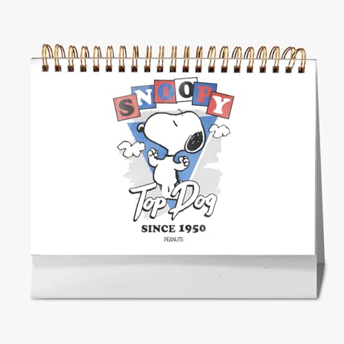 J_[ Xk[s[ J_[ 2026N ʐ^V[ XPW[  ItBXpi NX}X VN  lC