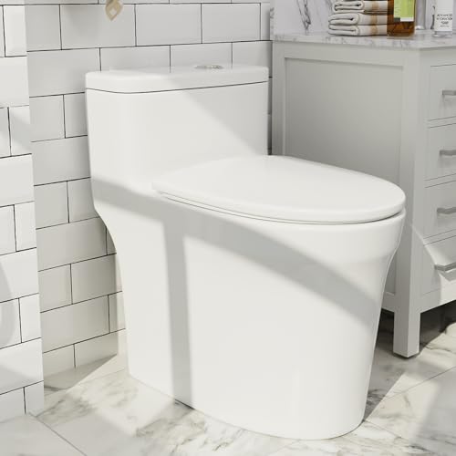 Dual Flush Elongated Standard One Piece Toilet with 17.7\'\' Seat Height, Powerful & Quiet Dual Flush Modern Toilet, 12\'\' Rough-In, Matte Black,6666