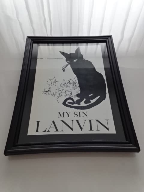 Amazon.co.jp: アートフレーム§A4額 写真ポスター付§猫ネコ黒猫子猫