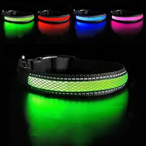 MASBRILL USB hondenhalsband, LED, oplaadbaar, plat, nylon, Webbing, verlicht, knipperlicht, Dog Collar Lights hondenhalsband, LED Light-Up Safety Neck Loop (S, Groen)