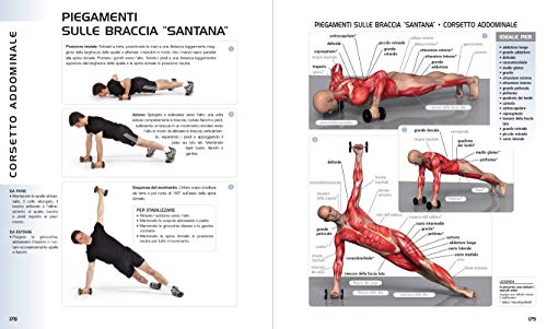 Anatomia dell'esercizio fisico