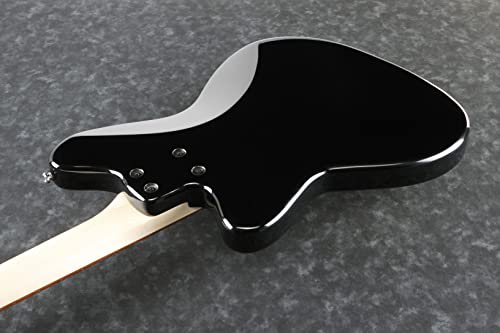 Professional Bass Guitar Starter Bundle