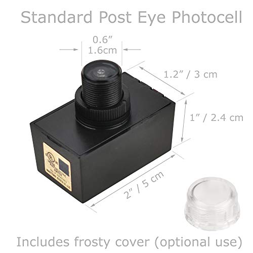 https://m.media-amazon.com/images/I/41pr4Ae-F6L._SL500_.jpg