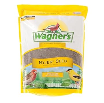 best nyjer seed bird feeders that will transform your backyard experience 1 best nyjer seed bird feeders