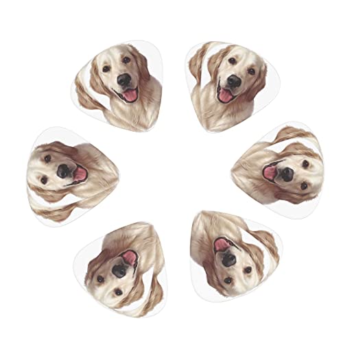 M^[sbN 12 3ނ̌ M^[sbNZbg sbNP[X [{bNXt AR[XeCNM^[ GLM^[ EN }h x[X oW[p Sҗp guitar picki0.46mm0.71mm&0.96mmj S[f