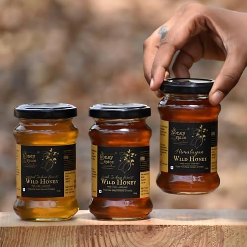 Image of Honey and Spice Wild honey combo - Himalayan (200 gms), Central Indian (200gms) & South Indian (200 gms) Wild honey. Natural and Unprocessed honey | 100% Raw and Pure
