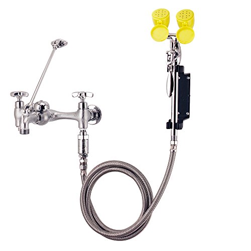 Speakman SEF-9000-FM Eyesaver Service Sink Faucet with Fixed-Mount Integrated Emergency Eyewash