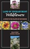 Land of Enchantment Wildflowers: A Guide to the Plants of New Mexico (Grover E. Murray Studies in the American Southwest)