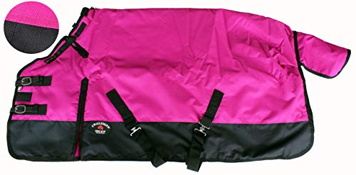 Image of Challenger 1200D Turnout Waterproof Horse Winter Blanket Heavy 584G