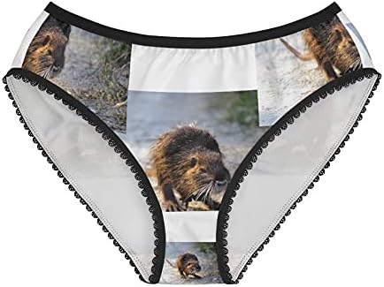 Coon Enjoying Panties, Coon Enjoying Underwear, Briefs, Cotton Briefs, Funny Underwear, Panties For Women