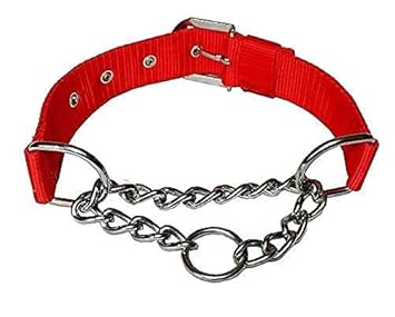 RvPaws Dog Choke Pet Nylon Half Chain Collar Half Choker Stainless Steel Dogs Collars X- Large Size (Red, 1.5 Inch)