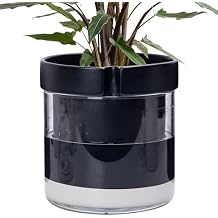Phoenix Vine 8 Inch Self Watering Terracotta Planter, Black Terracotta Clay Pot with Glass Reservoir for Indoor Plants, Herbs, Flowers, Set of 1, 52-C-H-1