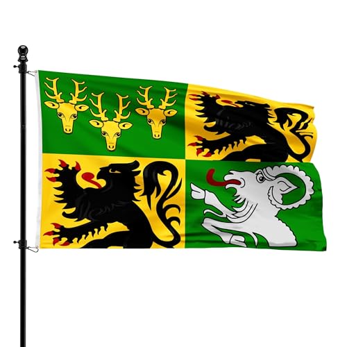 Bandera de Oostrozebeke rectangular de 90 x 150 cm hecha de poliéster 2