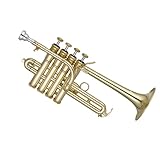 Trompette Combiné avec un musicien engagé ou suffisamment de pratique, n'importe lequel de ces cuivres colorés peut être le bon départ pour un groupe.