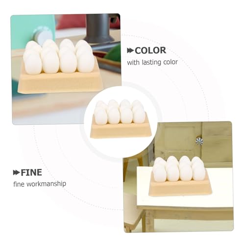 ibasenice 1 Conjunto De Casa De Boneca Decorações De Modelo De Em Miniatura Enfeites De Mini Brinque