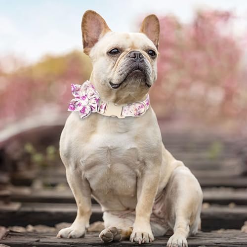 Collier mignon à printemps avec fleur violette anti-irritation taille S